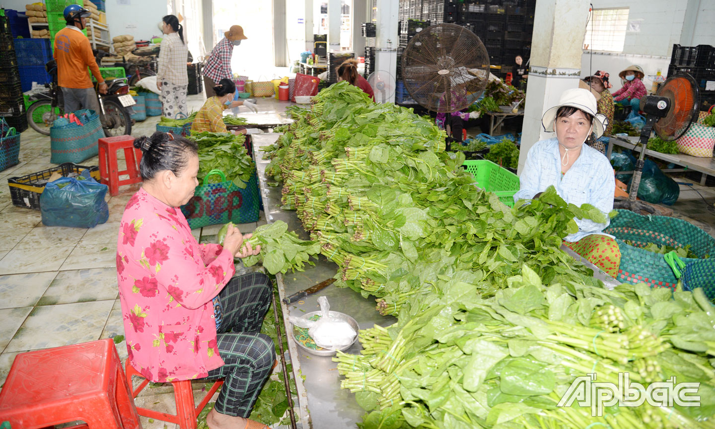 Huyện Gò Công Tây trở thành điểm sáng trong phát triển KTTT tỉnh nhà. 