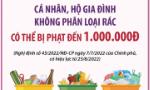 Cá nhân, hộ gia đình không phân loại rác có thể bị phạt đến 1 triệu đồng