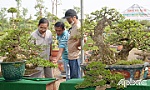 Để sinh vật cảnh thành ngành kinh tế sinh thái giá trị cao