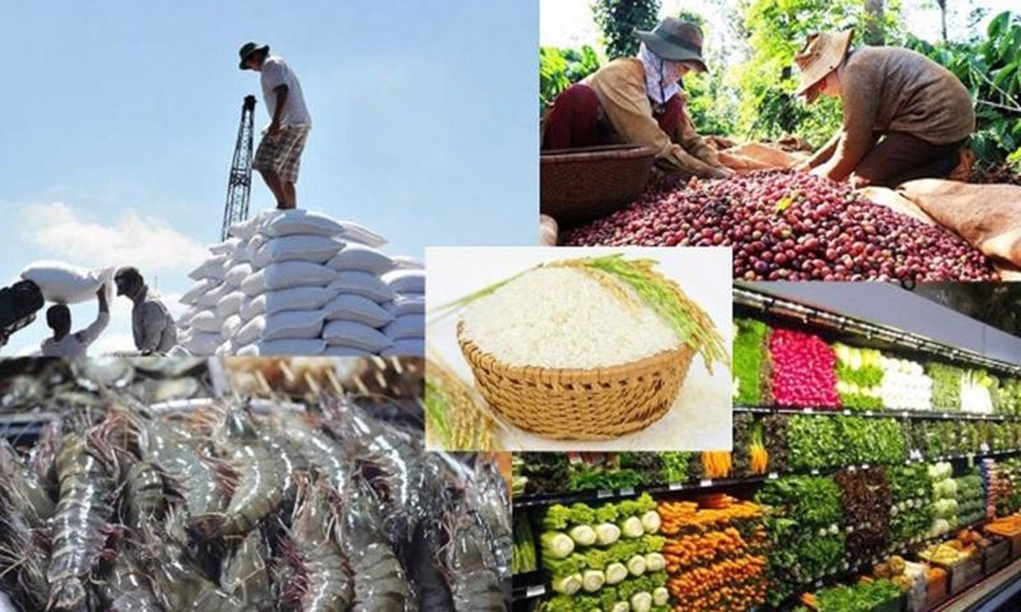 ABO/NDO- Vietnam’s total import and export value in 2024 is estimated at 786.07 billion USD, a 15.4% increase compared to 2023, with a trade surplus of 23.75 billion USD