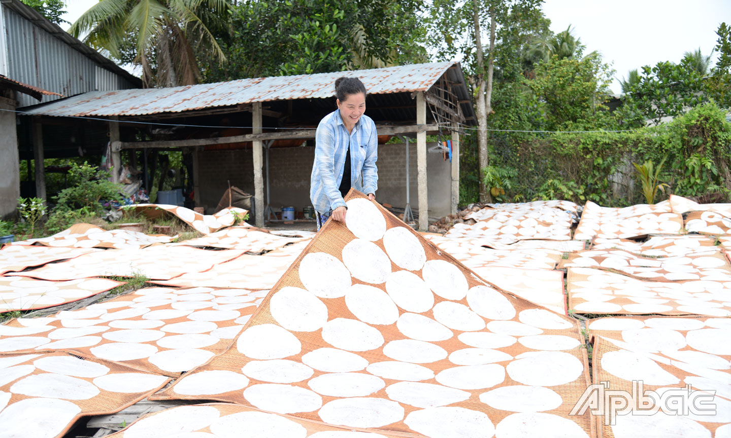 Gia đình anh Phú mỗi ngày sản xuất khoảng 5.000 cái bánh tráng phồng để phục vụ thị trường tết.