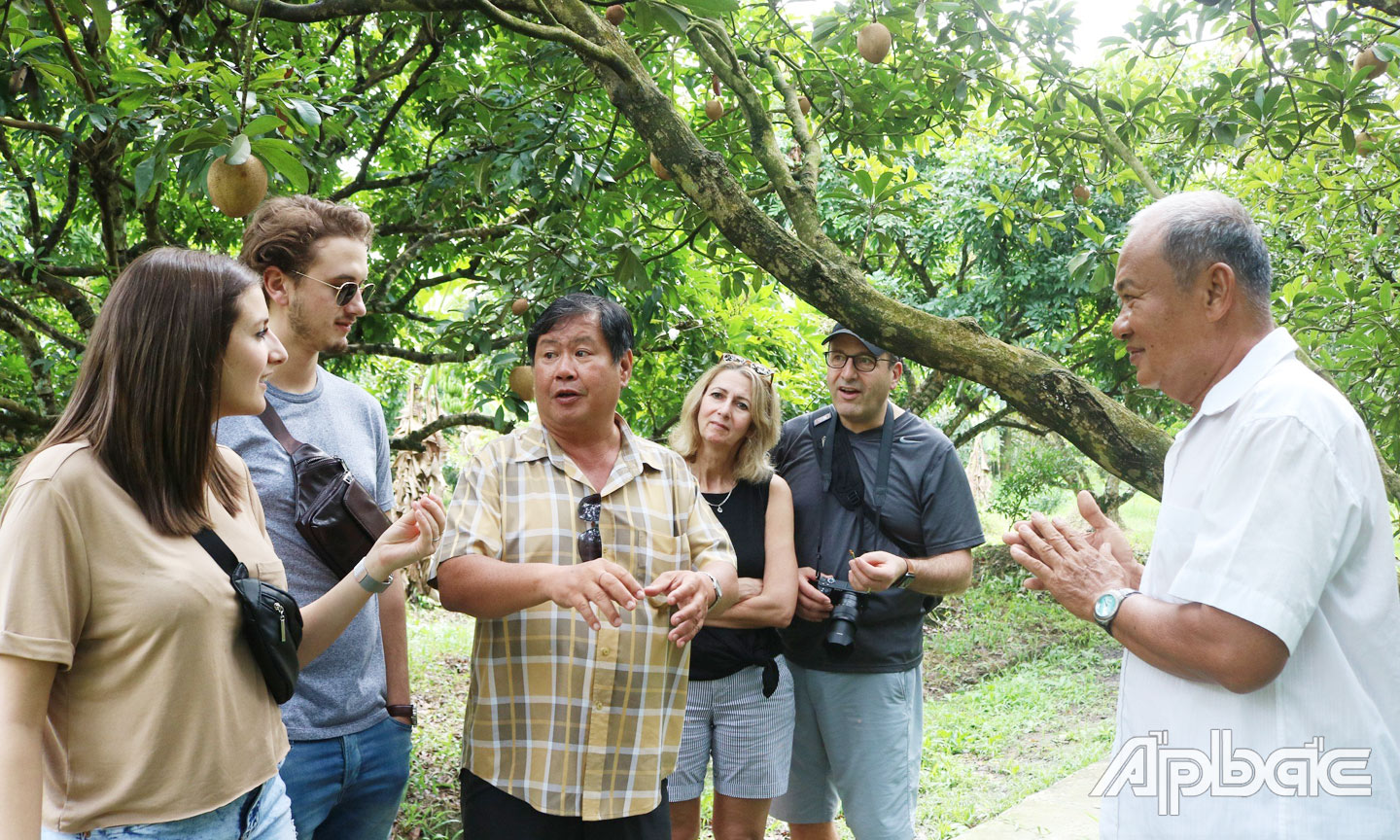  Du khách nước ngoài tham quan vườn cây ăn trái tại các điểm du lịch trên địa bàn huyện Cai Lậy. Ảnh: QUẾ NGÂN