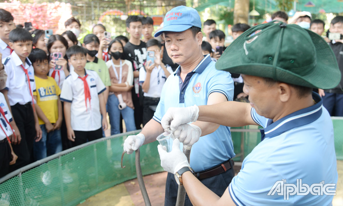 Khách tham quan xem biểu diễn lấy nọc rắn tại Trại rắn Đồng Tâm (xã Bình Đức, huyện Châu Thành).