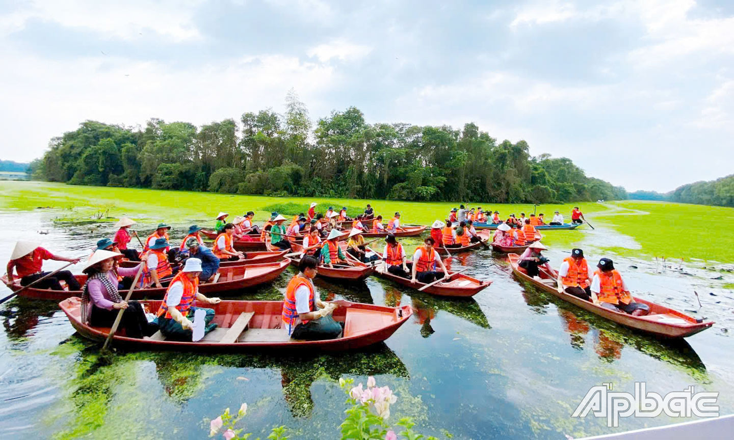 Khu Bảo tồn sinh thái Đồng Tháp Mười (xã Thạnh Mỹ, huyện Tân Phước) thu hút đông đảo du khách đến tham quan.