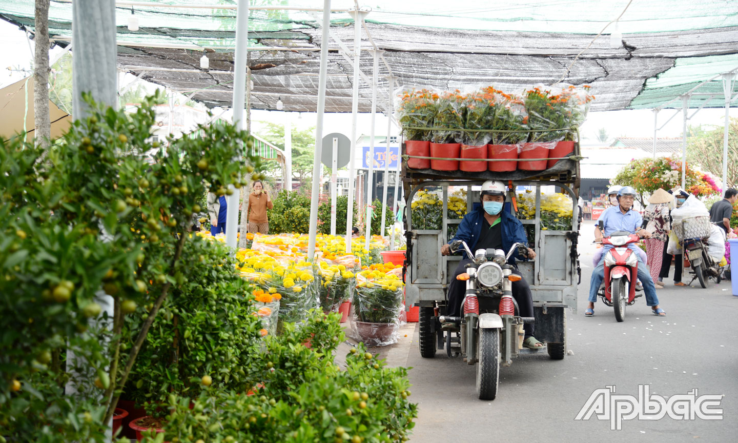 Chợ hoa xuân không chỉ là nơi mua bán, mà còn là điểm đến để người dân vui xuân, thưởng ngoạn trong dịp tết.