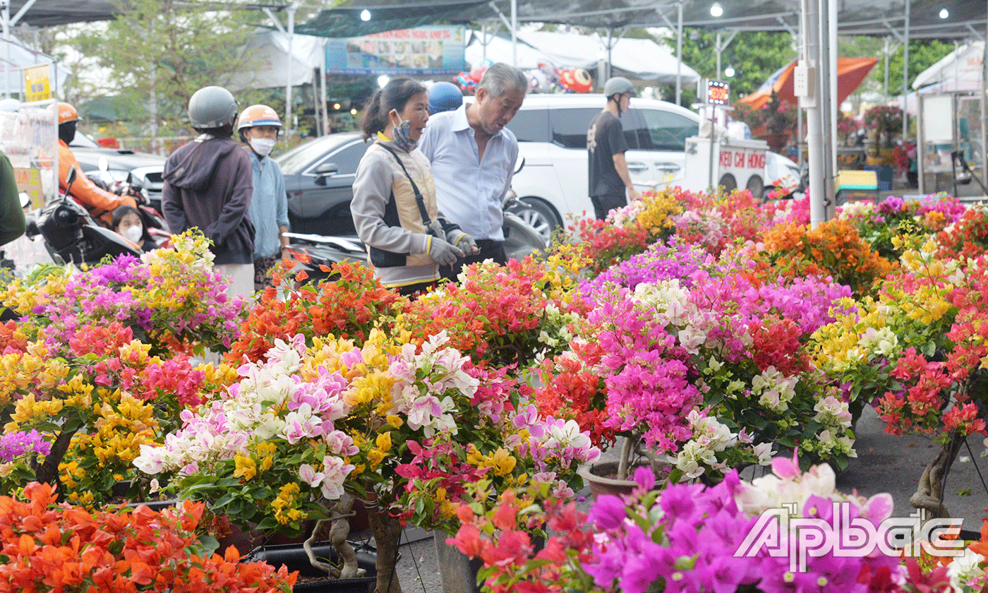 Hoa giấy có giá từ vài chục ngàn/ chậu đến vài trăm ngàn/chậu tuỳ loại.