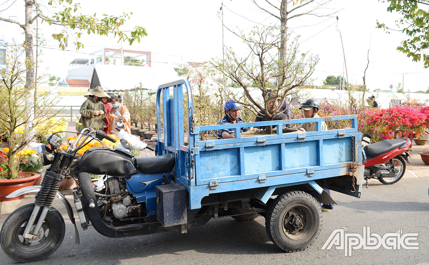 Sức mua hoa, kiểng tết đang tăng.