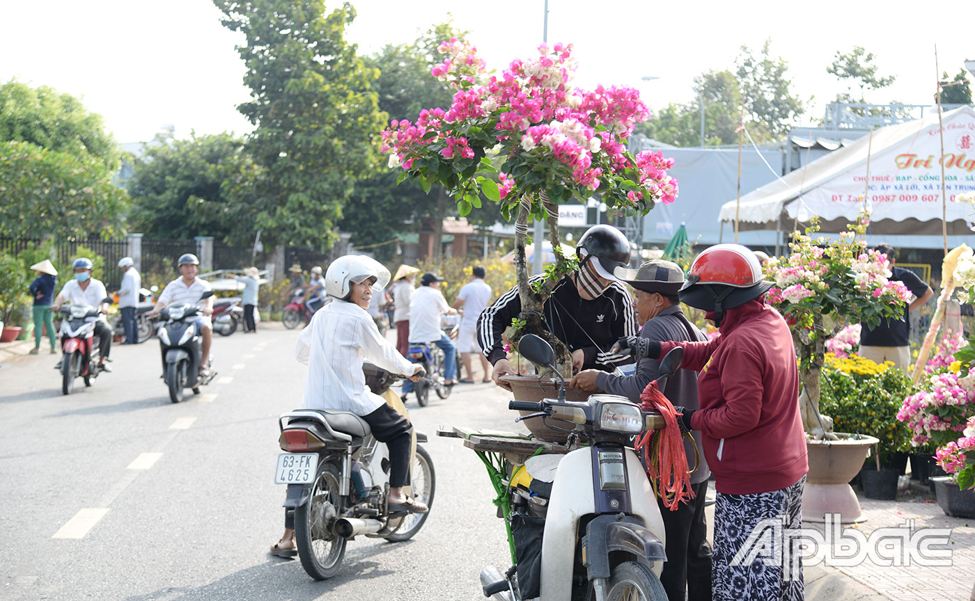 Hiện ông Tài đã bán được khoảng 80 chậu bông giấy.