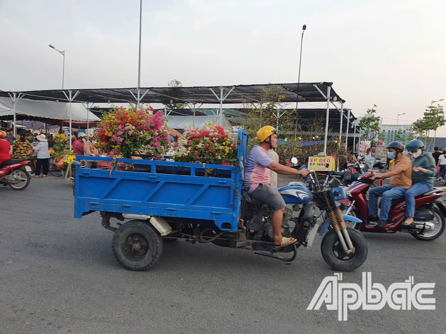 Những chuyến xe chở mùa xuân tất bật những ngày cuối năm. 