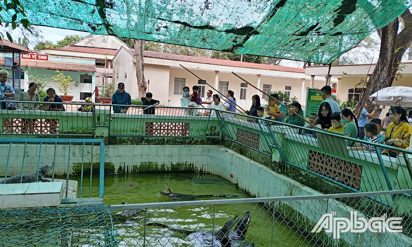 Hiện nay, Trại rắn Đồng Tâm không chỉ là nơi nuôi trồng dược liệu, bảo tồn cây con thuốc, sản xuất thuốc y học cổ truyền, cấp cứu điều trị rắn độc cắn mà còn một sở thú thu nhỏ.