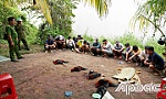 Triệt phá tụ điểm đá gà ăn thua bằng tiền