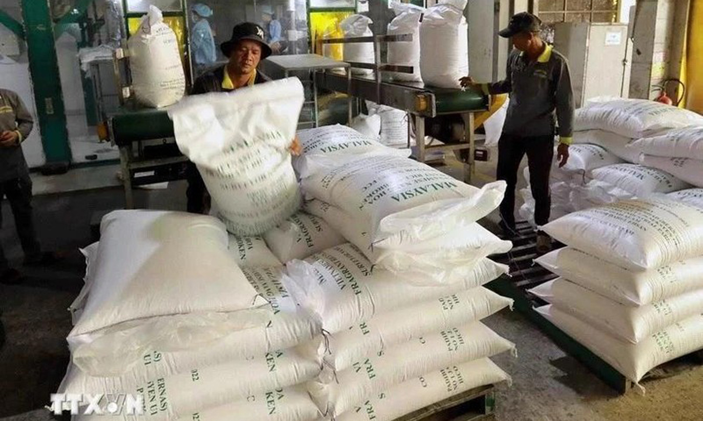 Vietnam expected to export over 7.5 million tonnes of rice in 2025