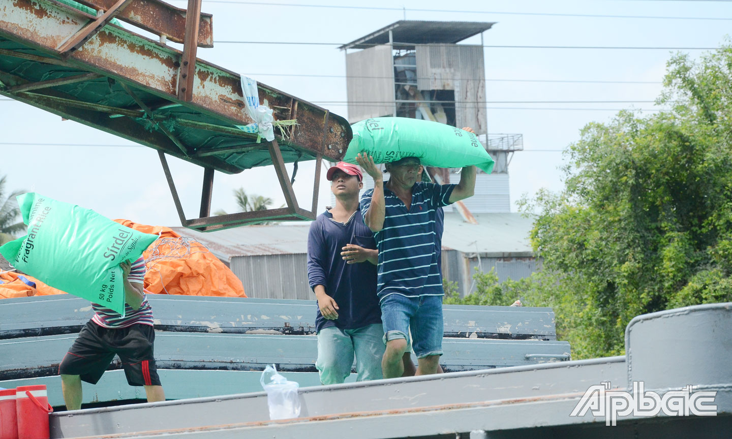 Giá gạo đang nằm ở mức thấp nhất kể từ năm 2021 đến nay.