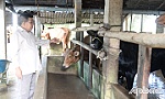 Gương sáng cựu chiến binh làm kinh tế giỏi