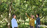Hội Nông dân xã Song Thuận: Đồng hành, hỗ trợ hội viên phát triển  sản xuất, kinh doanh