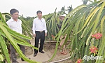 Xã Thanh Bình: Chuyển đổi cây trồng, vật nuôi, nâng cao hiệu quả sản xuất