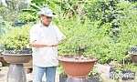 Thành công từ dám nghĩ, dám làm, dám theo đuổi đam mê