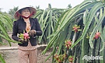Khấm khá nhờ chuyển đổi cây trồng