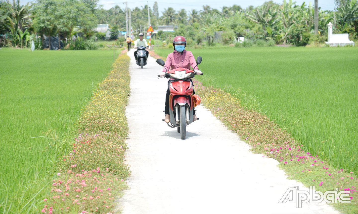 Các tuyến đường nông thôn trên địa bàn tỉnh thay đổi với cảnh quan xanh - sạch - đẹp.