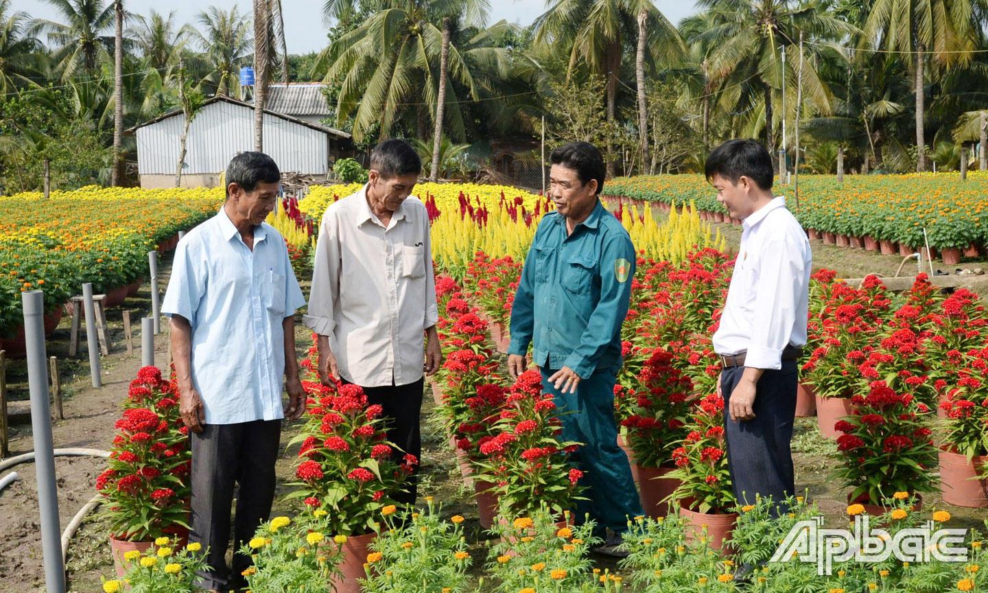 Mô hình trồng hoa phát triển kinh tế của Hội CCB xã Lương Hòa Lạc.