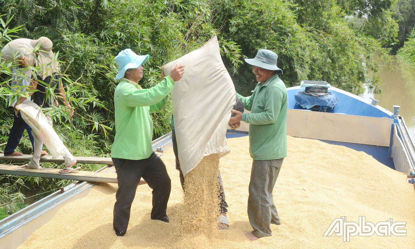 Xuất khẩu gạo đã mang lại những dấu ấn tích cực trong thời gian qua.