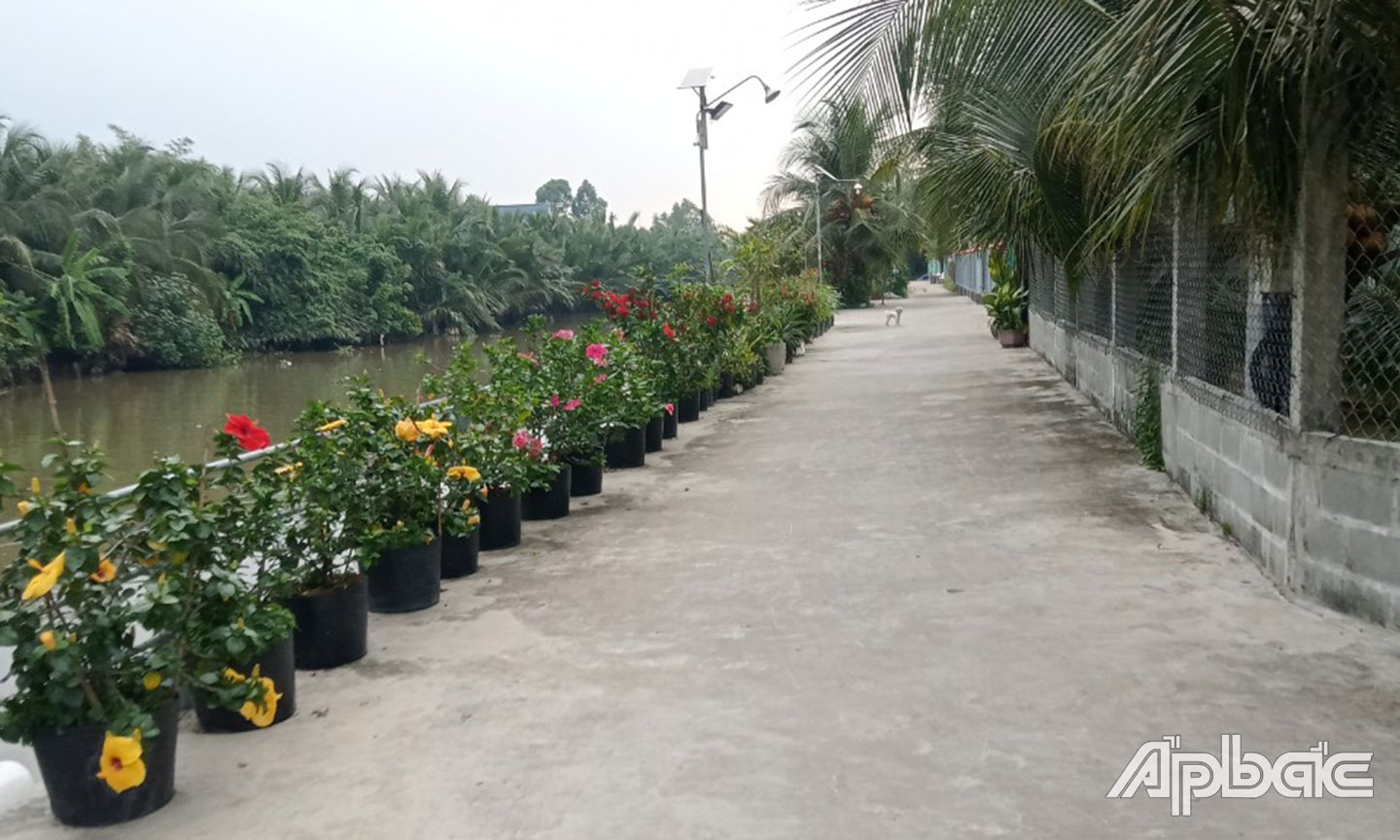 Chi Hội CCB ấp Hòa Phú thực hiện công trình Dân vận khéo “Sáng xanh sạch đẹp” tuyến đường kinh tổ 7