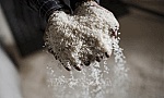 Bộ Công Thương thu hồi 10 giấy chứng nhận kinh doanh xuất khẩu gạo
