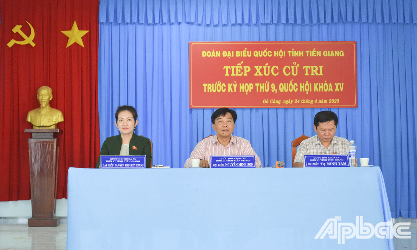 ĐBQH tỉnh lắng nghe và ghi nhận ý kiến của cử tri.