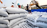 152 thương nhân đủ điều kiện xuất khẩu gạo