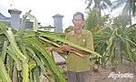 Cựu chiến binh làm kinh tế giỏi