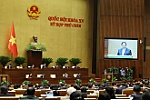Kinh tế Việt Nam: 