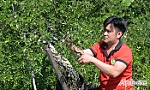 Tiền Giang có 5 sản phẩm sinh vật cảnh đạt OCOP