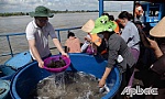 Tiền Giang: Thả cá tạo nguồn lợi thủy sản trên sông Tiền