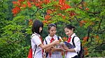 Thủ tướng chỉ đạo các vấn đề nóng trong giáo dục