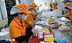 Kế hoạch triển khai cơ chế, chính sách đặc biệt phát triển kinh tế tư nhân