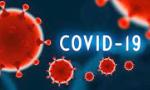 COVID-19 - Tại sao không còn quá lo lắng hay hoang mang?