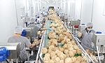 ĐỔI MỚI CÔNG NGHỆ - THỰC TIỄN VÀ HÀNH ĐỘNG - Bài 1: Nhìn từ thực tiễn