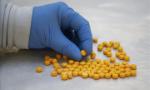 Tăng cường phòng ngừa, đấu tranh tội phạm ma túy có liên quan đến Fentanyl