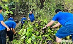 Tiền Giang: Đồng loạt ra quân Ngày Chủ nhật xanh
