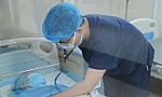 Đẩy mạnh phòng, chống bệnh sốt xuất huyết, tay chân miệng, Covid-19 và dịch bệnh mùa mưa bão