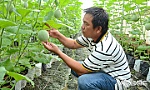 Thu hút nông dân tham gia phát triển kinh tế tập thể