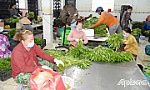 Tiền Giang: Thúc đẩy phát triển hợp tác xã gắn với Chương trình OCOP