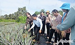 Tiền Giang: Nâng cao vai trò phụ nữ trong phát triển kinh tế tập thể