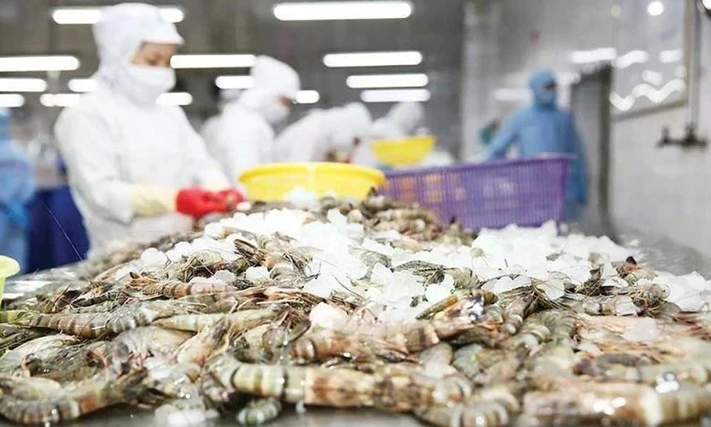 Viet Nam, Cuba expand high-tech shrimp farming cooperation