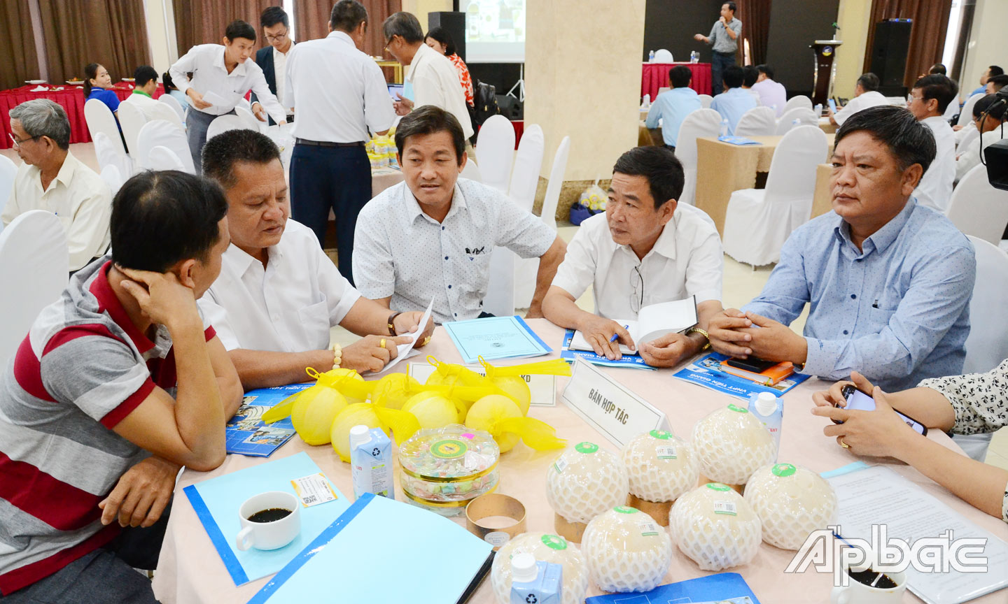 Tích cực hỗ trợ hợp tác xã xúc tiến thương mại, mở rộng thị trường tiêu thụ