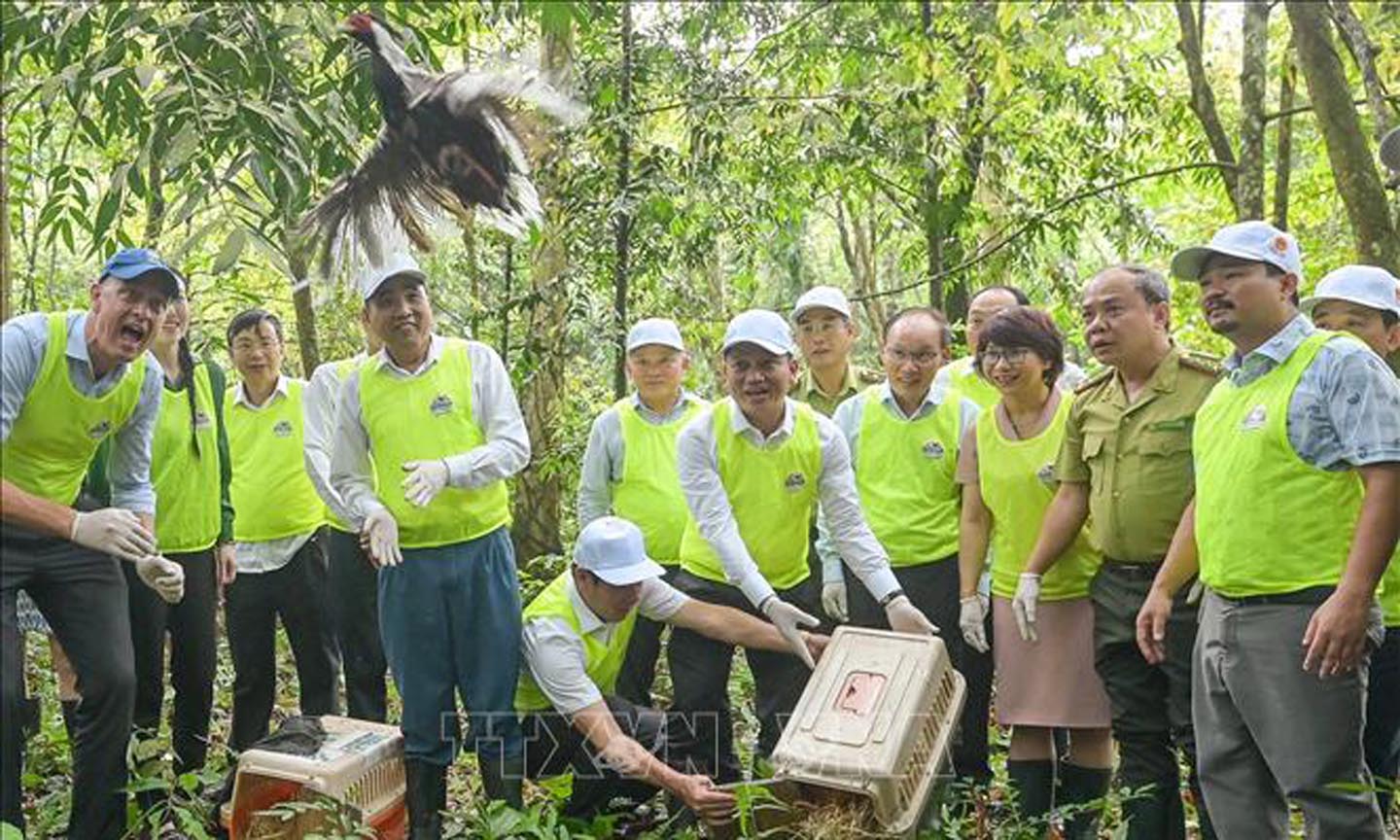 Việt Nam thuộc 16 quốc gia sở hữu đa dạng sinh học cao nhất thế giới