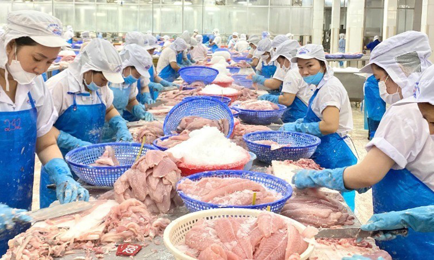 Viet Nam's shark catfish exports up 10% in first four months