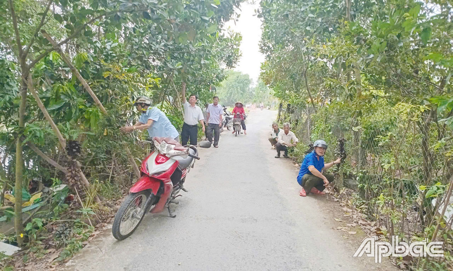 Hội viên Chi hội CCB ấp 7 ra quân dọn dẹp, vệ sinh đường giao thông.
