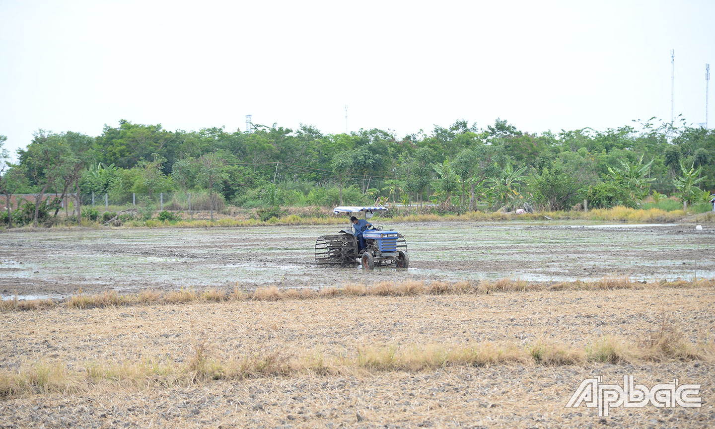 Người dân xã Yên Luông cày xới đất để gieo sạ vụ lúa hè thu.