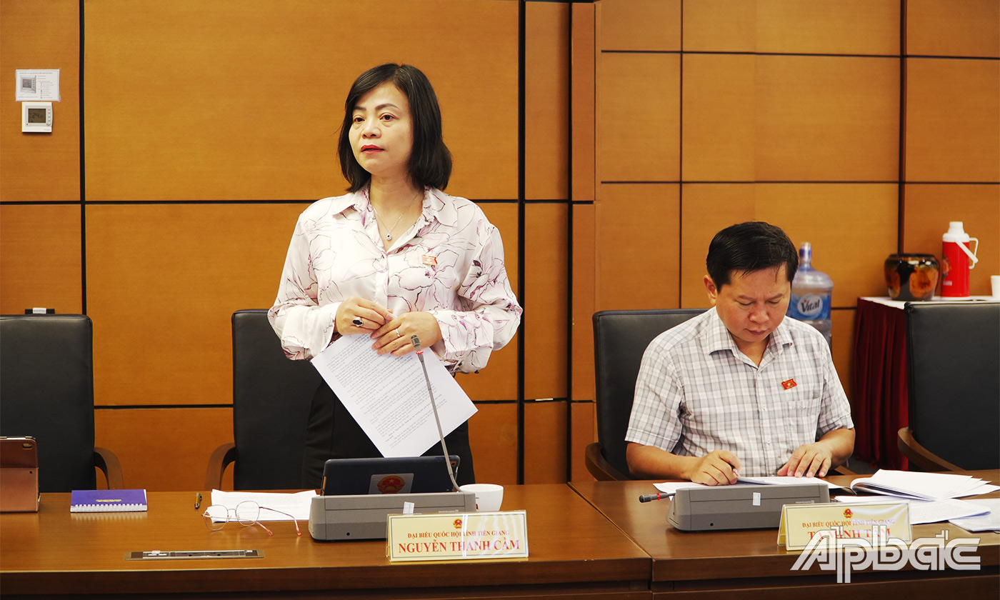 Đại biểu Nguyễn Thanh Cầm phát biểu thảo luận tại tổ